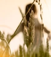 Artigo_Retiro-na-perspectiva-da-Facilitadora