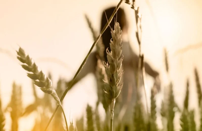 Artigo_Retiro-na-perspectiva-da-Facilitadora